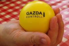 Novenytermesztes_szakmai_nap_Mezokovesd_20210723_19-