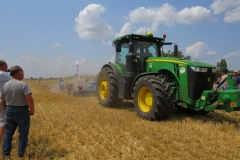 Novenytermesztes_szakmai_nap_Mezokovesd_20210723_23-