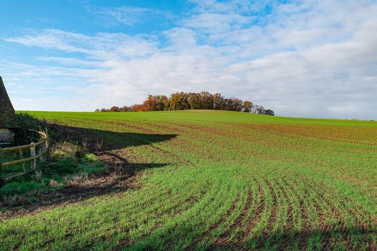 Szigorúbb feltételek vonatkoznak a termőföld művelésből való kivonására